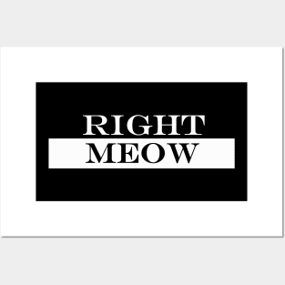 right meow Posters and Art